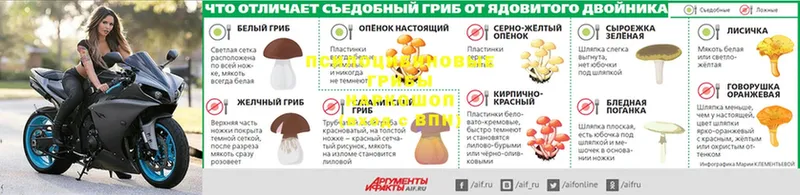 Галлюциногенные грибы ЛСД  MEGA ССЫЛКА  Миасс 